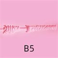 B5